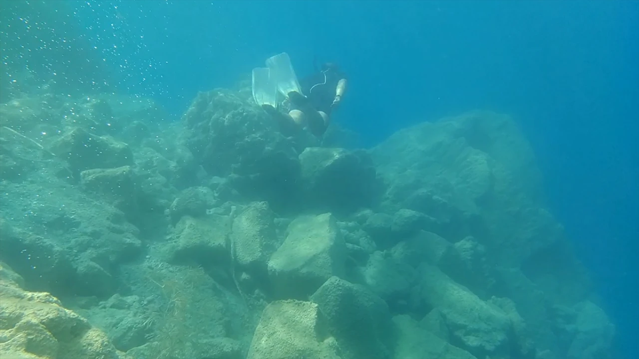 Van Gölü'nün Derinliklerinde Büyüleyici Keşif