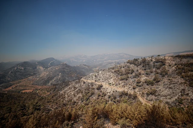 Silifke'de Dev Orman Yangını Kontrol Altında! Ekipler Büyüklükle Mücadele Etti
