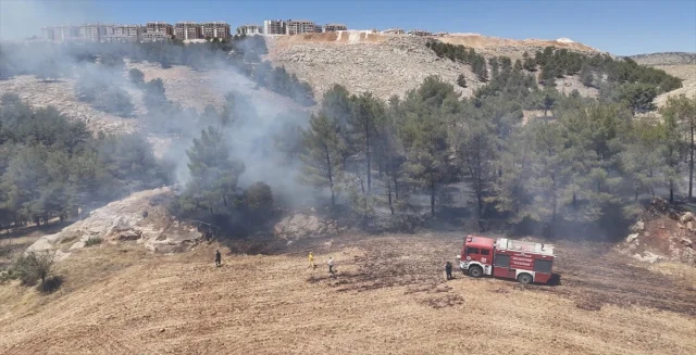 Adıyaman'da Ormanda Çıkan Yangın Paniğe Yol Açtı