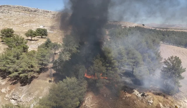 Adıyaman'da Ormanda Çıkan Yangın Paniğe Yol Açtı