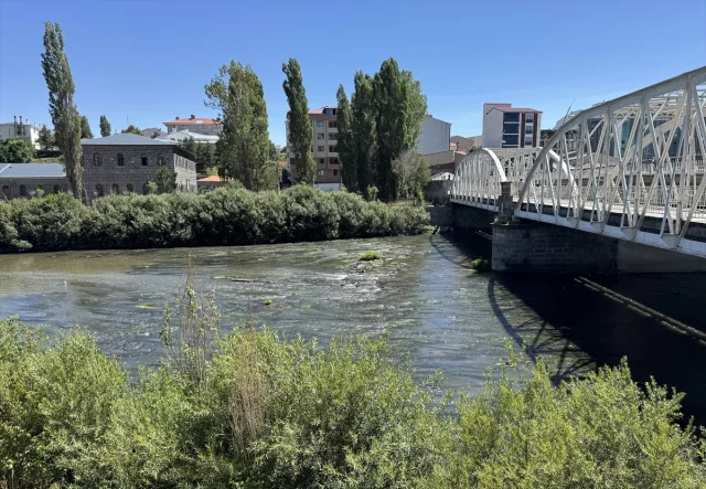 Kura Nehri'nde İnanılmaz Değişim: Sıcak Hava Etkisiyle Yosun ve Otlar Kapladı