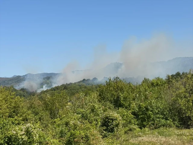 Bartın Ormanlarındaki Büyük Tehlike: Yangın Söndürme Çalışma...
