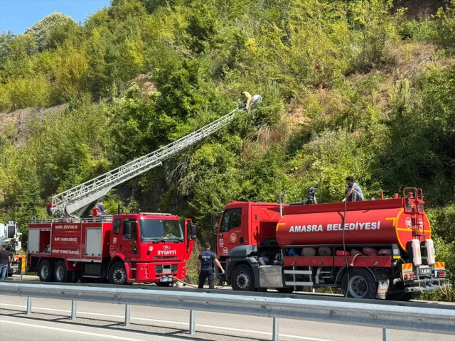 Bartın Ormanlarındaki Büyük Tehlike: Yangın Söndürme Çalışmaları Zamanla Yarışıyor