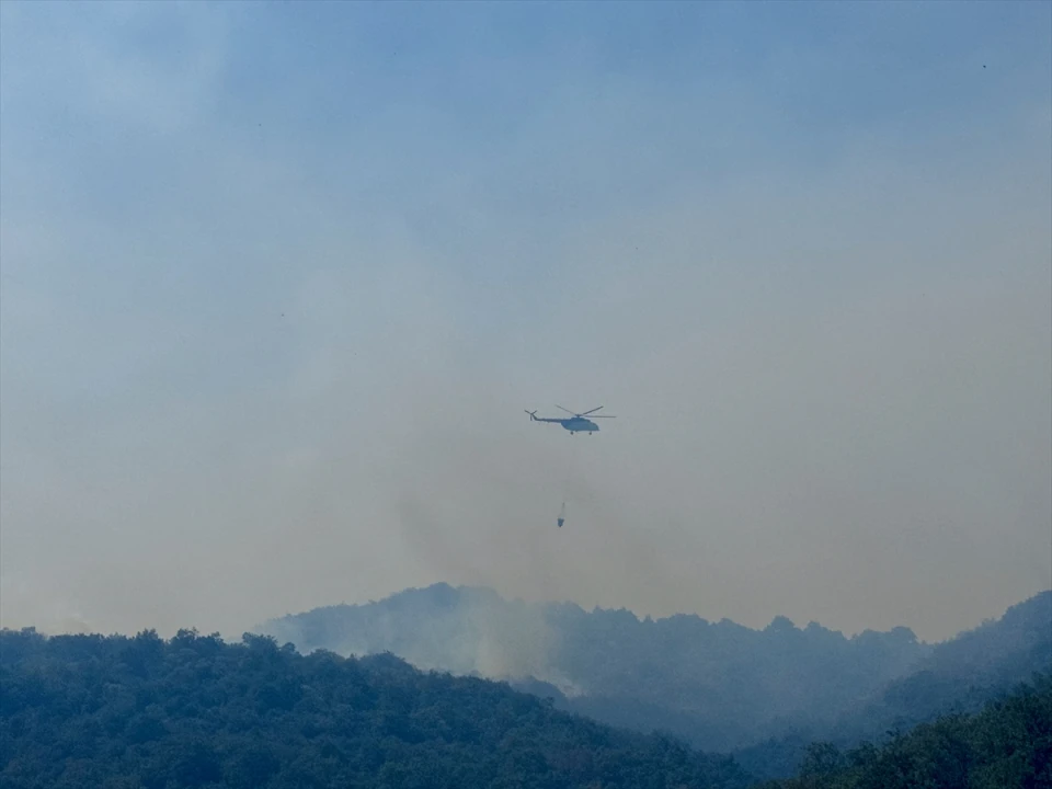 Bursa'nın İznik İlçesinde Alevlerin Dansı: Yangın Söndürme Çalışmaları Devam Ediyor