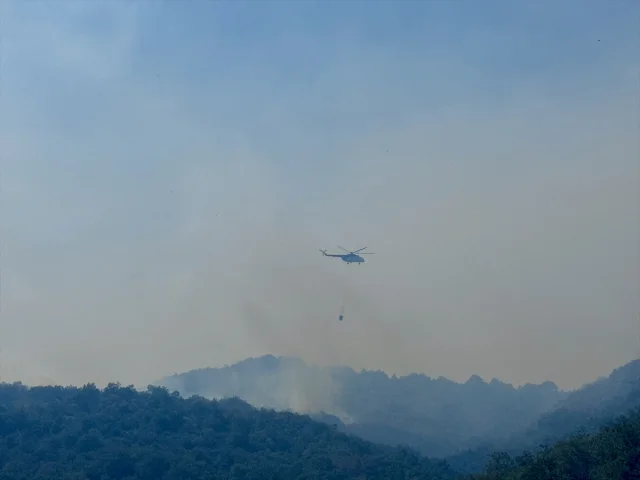 Bursa'nın İznik İlçesinde Alevlerin Dansı: Yangın Söndürme Ç...