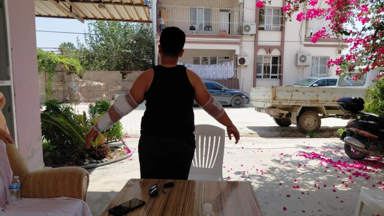 Hatay'da Sahipsiz Köpeklerin Tehlikesi Büyüyor