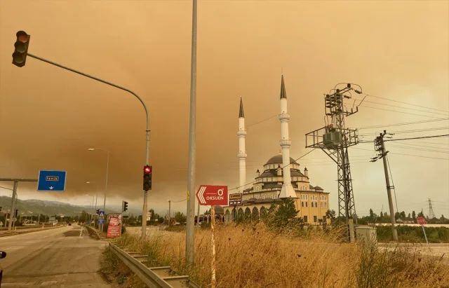 Kocaeli Orman Yangını Bursa'da Paniğe Neden Oldu: İşte Detay...