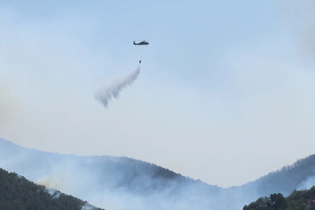 Kocaeli Orman Yangını: Alevler Arttı Tüm Ekipler Seferber