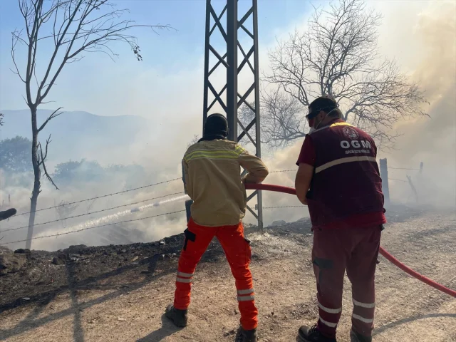Kocaeli Orman Yangını: Alevler Arttı Tüm Ekipler Seferber