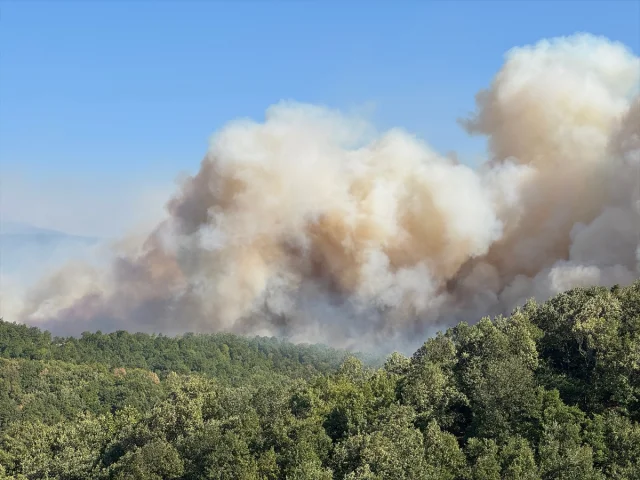 Kocaeli'de Orman Yangınına Karşı Büyük Mücadele