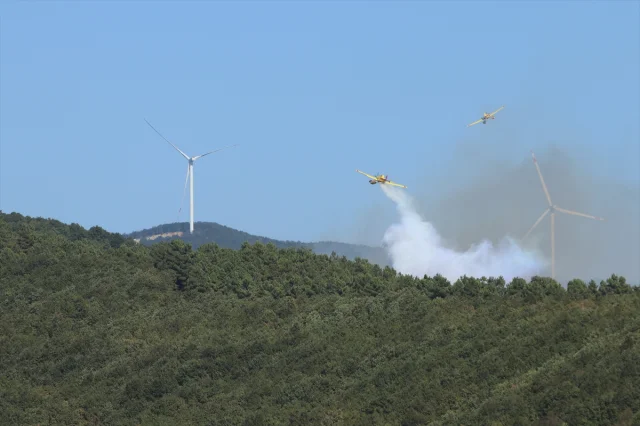 Kocaeli'de Orman Yangınına Karşı Büyük Mücadele
