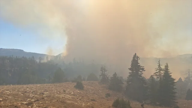 Karaman'da Orman Yangınları Yayılıyor: Acil Müdahale Başladı
