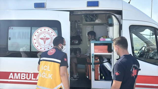 Kocaeli Orman Yangını: Alevler Arttı Tüm Ekipler Seferber