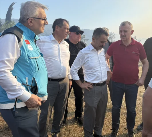 Kocaeli Orman Yangını: Alevler Arttı Tüm Ekipler Seferber