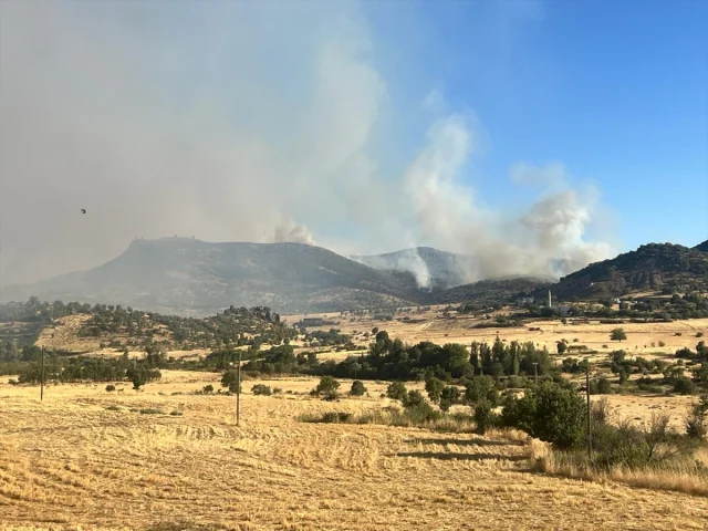 Diyarbakır'da Orman Yangınları İle Zamanla Yarış: Hani ve Li...