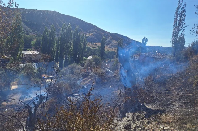 Sivas'ta Orman Yangını: Mücadelenin Detayları Ortaya Çıkıyor