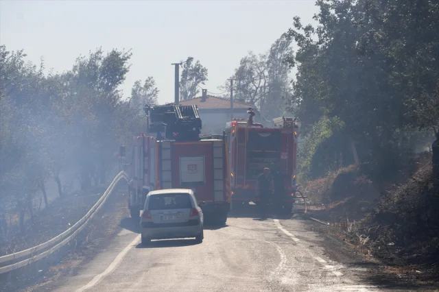 Tekirdağ'da Tehlike Doludizgin: Tarla Yangını Korkuttu