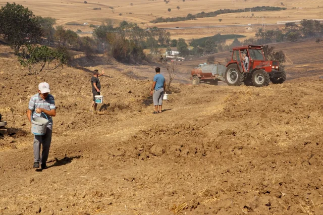 Tekirdağ'da Tehlike Doludizgin: Tarla Yangını Korkuttu