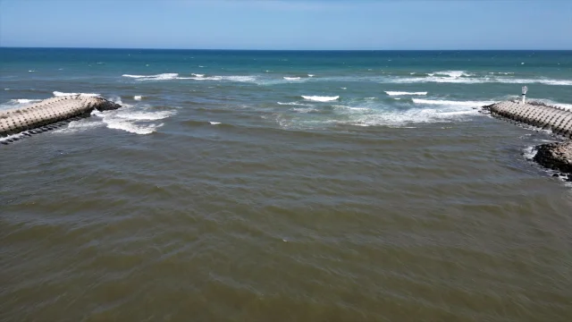 Sakarya'da Palamut Avı Hayal Kırıklığı