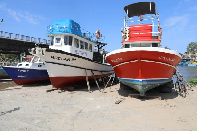 Sakarya'da Palamut Avı Hayal Kırıklığı