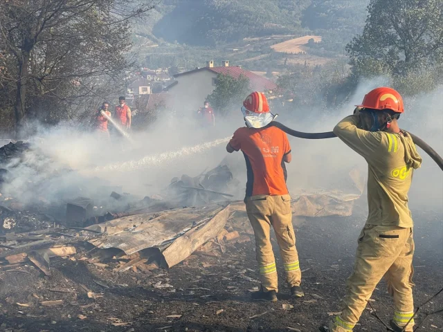 Kocaeli'de Orman Yangınına Karşı Büyük Mücadele