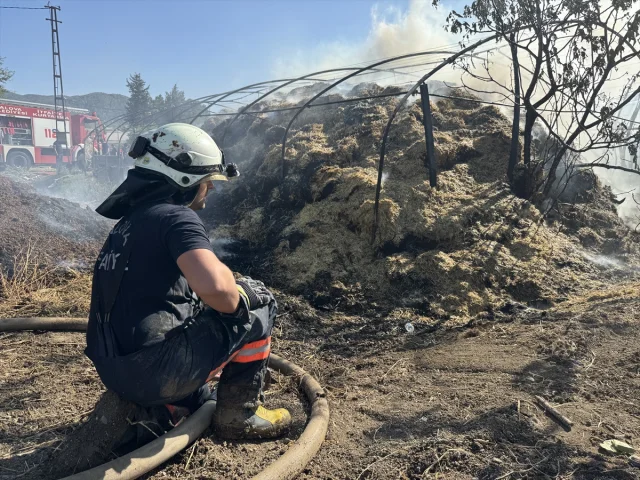 Yalova'nın Dört Noktasındaki Yangınlar Hızla Kontrol Altına Alındı
