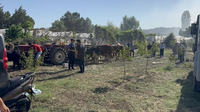 Yalova'nın Dört Noktasındaki Yangınlar Hızla Kontrol Altına Alındı