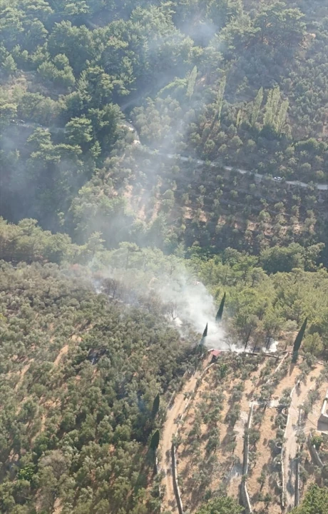 Kazdağları'ndaki Orman Yangını Hafızalardan Silinmeyecek