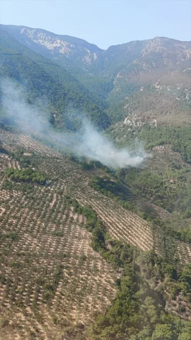 Kazdağları'ndaki Orman Yangını Hafızalardan Silinmeyecek