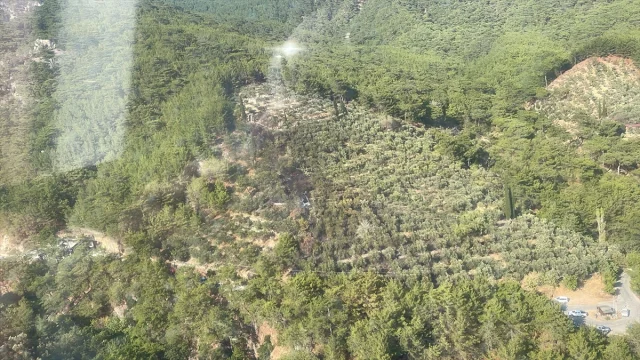 Kazdağları'ndaki Orman Yangını Hafızalardan Silinmeyecek