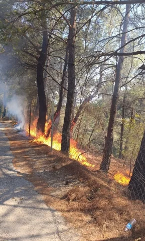 Kazdağları'ndaki Orman Yangını Hafızalardan Silinmeyecek