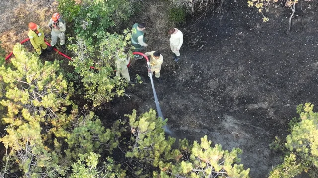 Kastamonu'da Orman Yangını Korkuttu Yanlış İhbar Akıllara Durgunluk Verdi