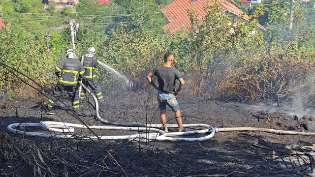 Zonguldak'taki Orman Yangınları Korkuttu: İki Bölgede Büyük Tehlike