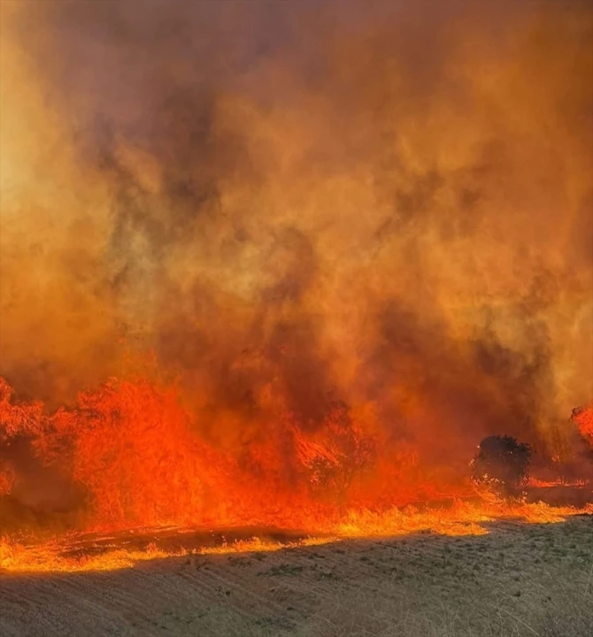 Paşalimanı Adası'nda Yangın Alarmı: Ekipler Aralıksız Çalışıyor