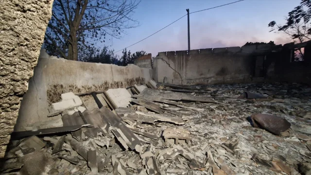 Kocaeli'de Orman Yangınına Karşı Büyük Mücadele