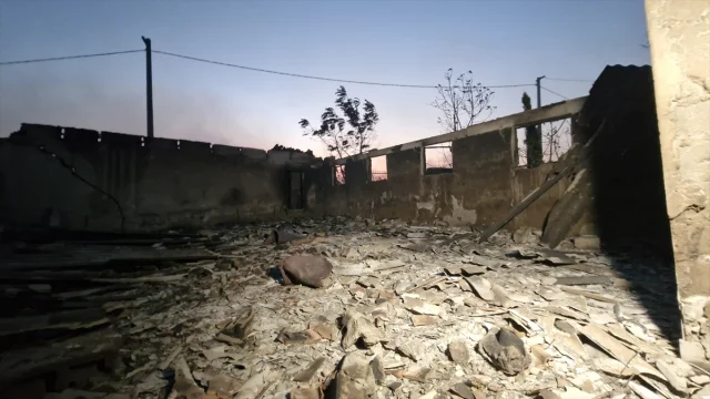 Kocaeli'de Orman Yangınına Karşı Büyük Mücadele