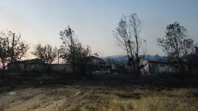 Kocaeli'de Orman Yangınına Karşı Büyük Mücadele