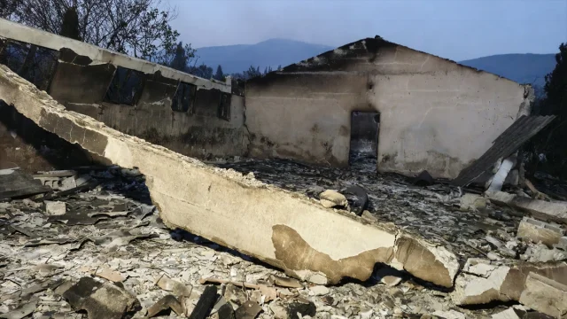 Kocaeli'de Orman Yangınına Karşı Büyük Mücadele
