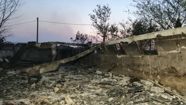 Kocaeli'de Orman Yangınına Karşı Büyük Mücadele