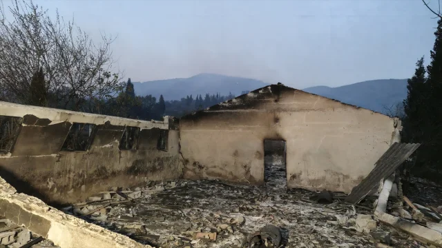 Kocaeli'de Orman Yangınına Karşı Büyük Mücadele