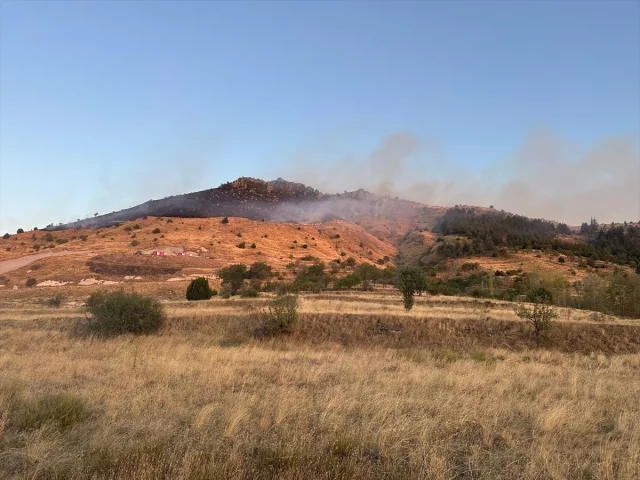 Afyonkarahisar'da Örtü Yangını: Müdahale Çalışmaları Sürüyor