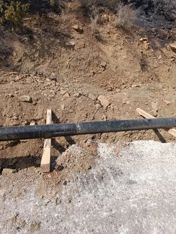 Mersin'de Çıkan Orman Yangınının Şok Detayları: Kimler Tutuklandı?