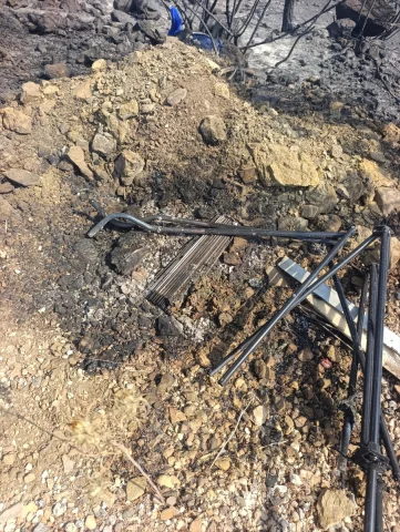 Mersin'de Çıkan Orman Yangınının Şok Detayları: Kimler Tutuklandı?