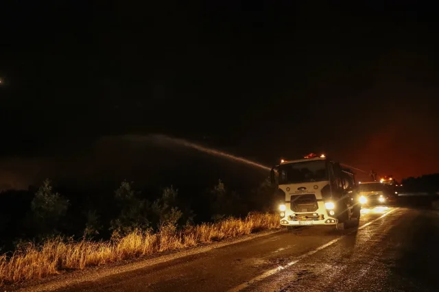 Diyarbakır'da Kırsal Yangın Alarmı: Ekipler Seferber Edildi