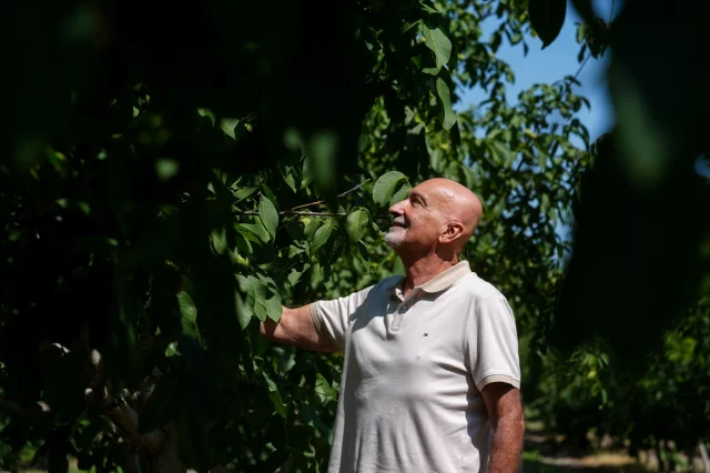 Geleceğin Tarımına Akıllı Böcekler Damga Vuruyor