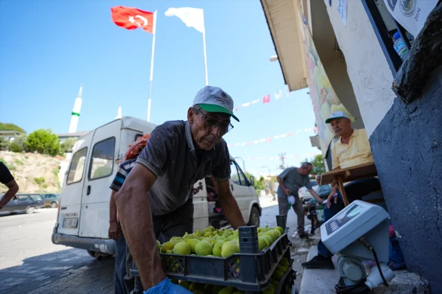 İncirde İhracat Başarısı İzmirli Çiftçilere Moral Veriyor