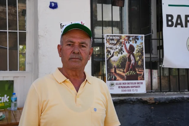 İncirde İhracat Başarısı İzmirli Çiftçilere Moral Veriyor