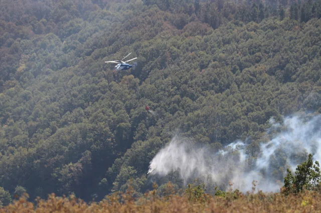 Kocaeli'de Orman Yangınına Karşı Büyük Mücadele