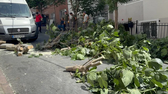 İstanbul'da Fırtına Alarmı: Hayat Durma Noktasına Geldi