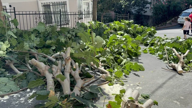 İstanbul'da Fırtına Alarmı: Hayat Durma Noktasına Geldi